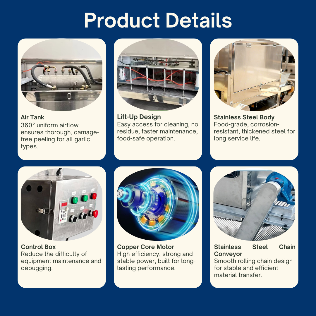 Commercial Dry Chain Garlic & Onion Peeling Machine – Damage-Free Peeler