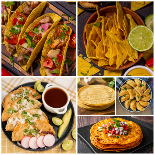 Commercial Tabletop Tortilla Maker